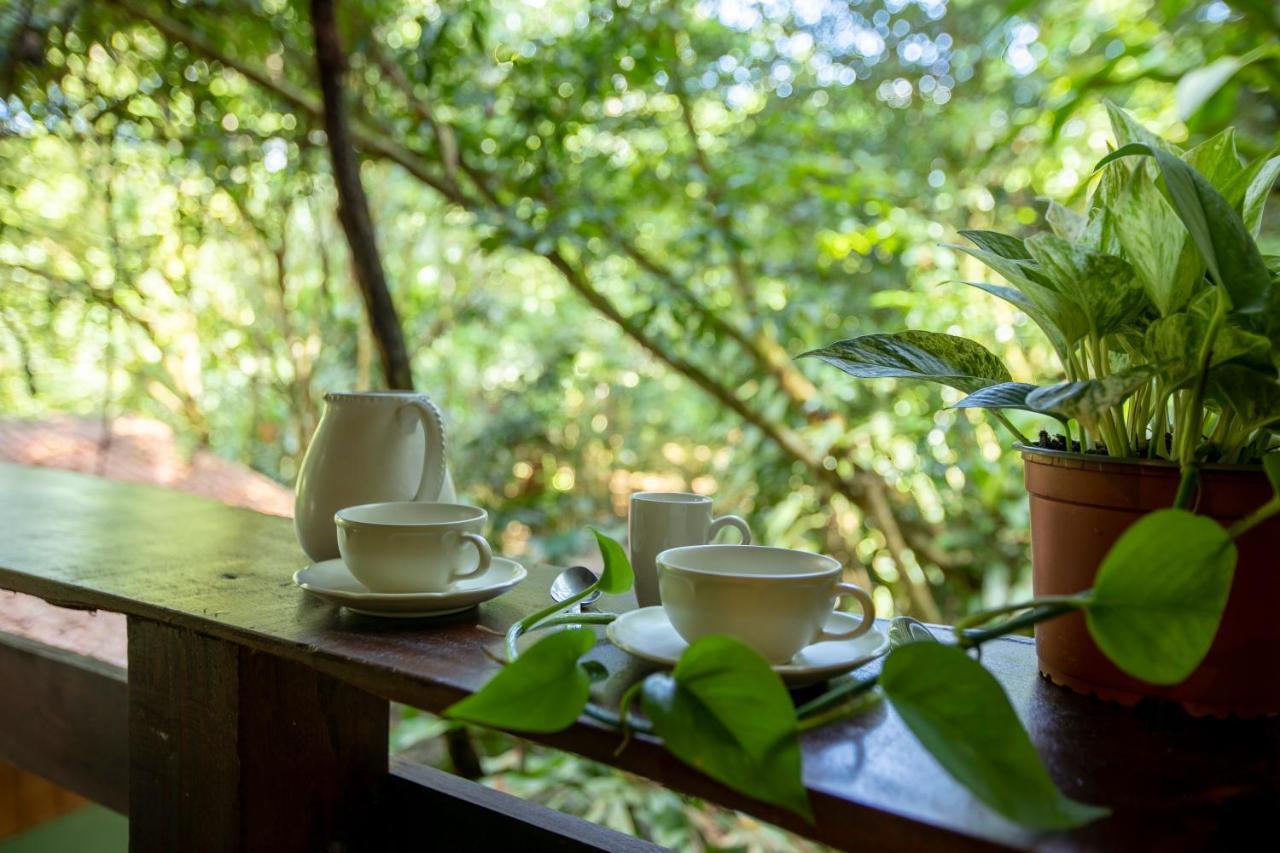 Cabanas Del Lago La Fortuna Eksteriør billede
