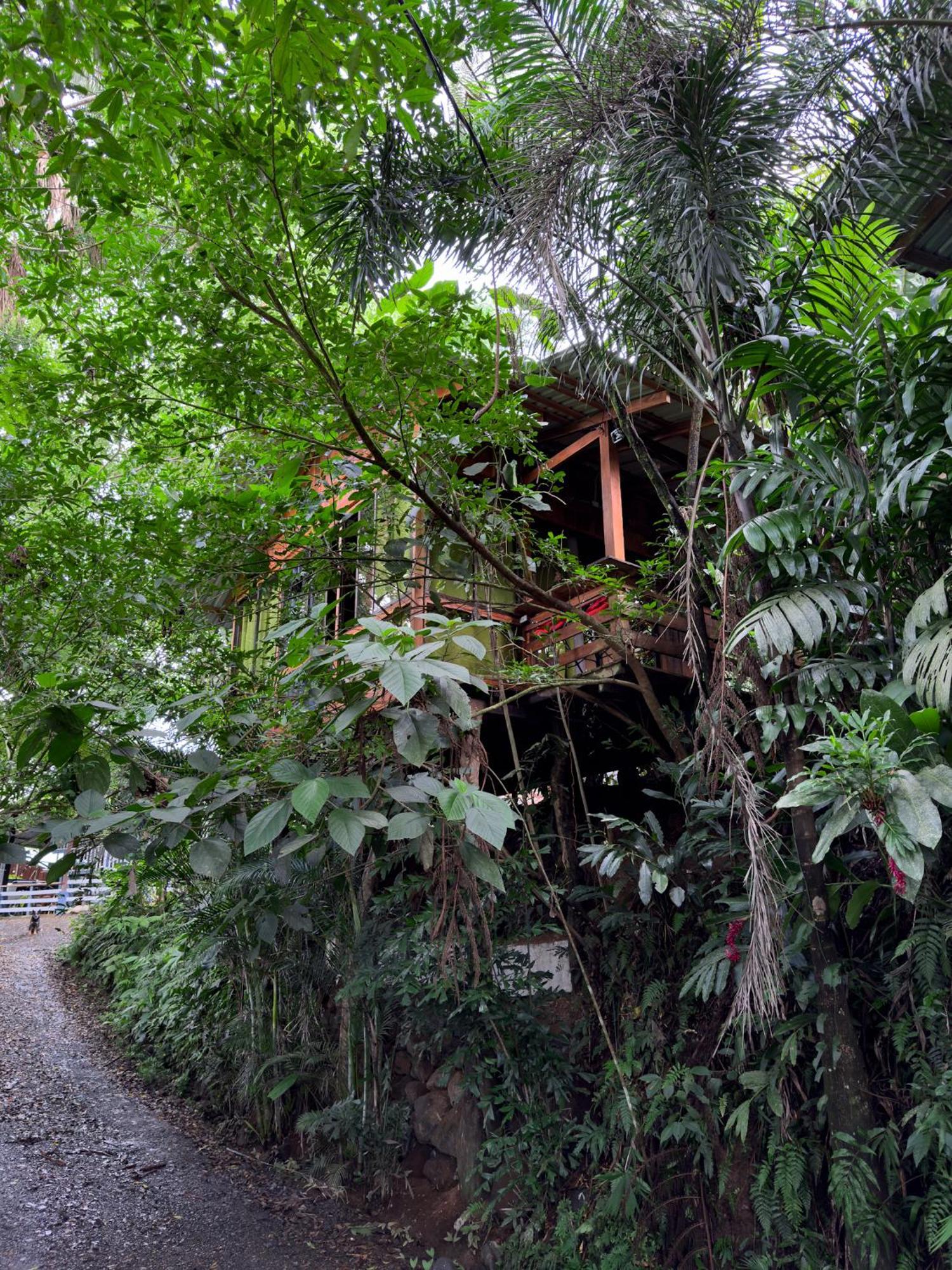 Cabanas Del Lago La Fortuna Eksteriør billede