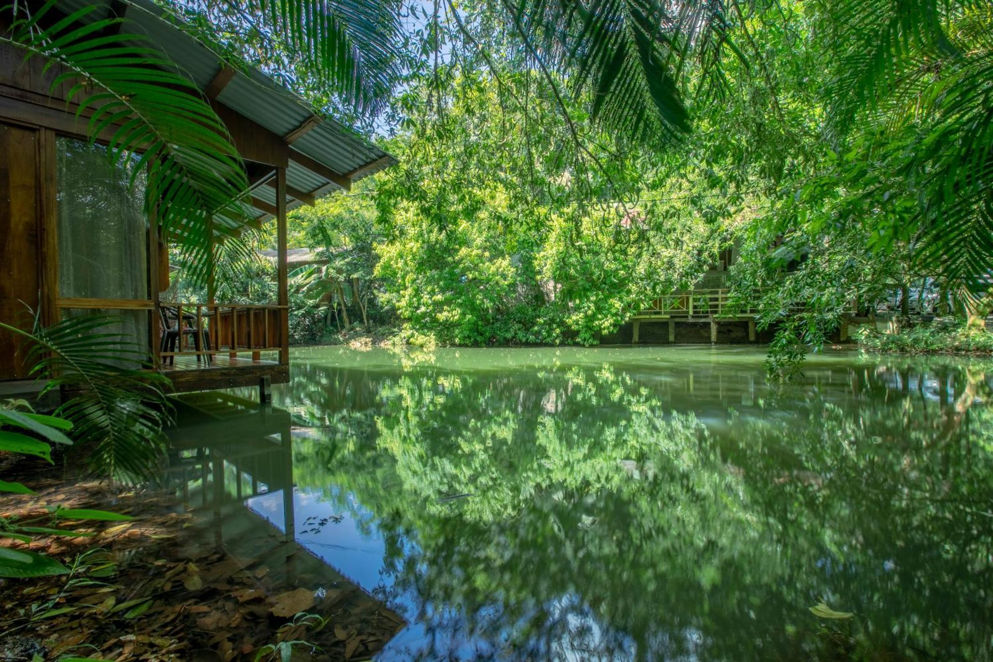 Cabanas Del Lago La Fortuna Eksteriør billede